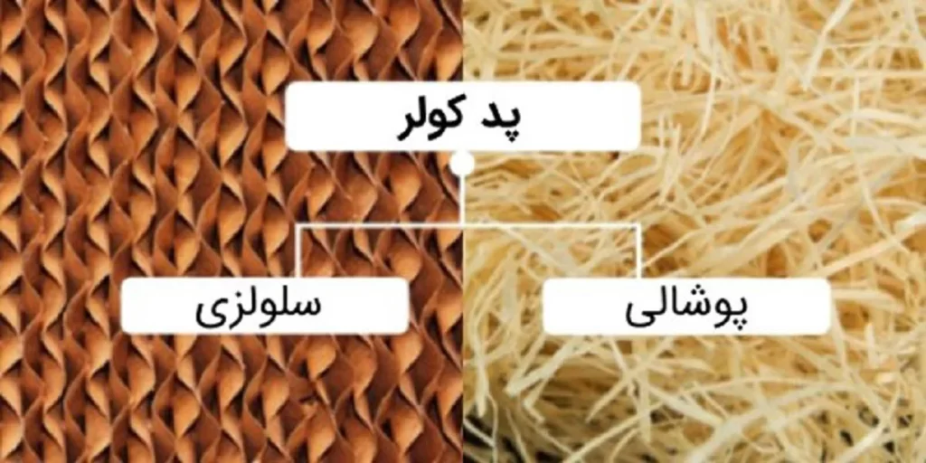 بجای پوشال